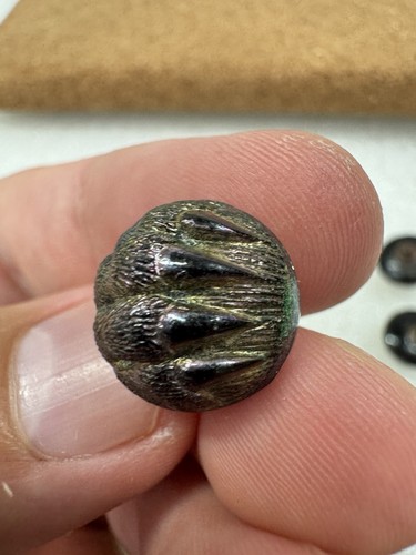 Antique Victorian 1930s Black Glass Bear Claw Paw Buttons - Picture 17 of 24