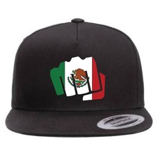 Mexico Flag Fist Snapback Hat, Custom Unisex