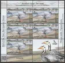 Kyrgyzstan 2023 Birds, Goose MNH sheet