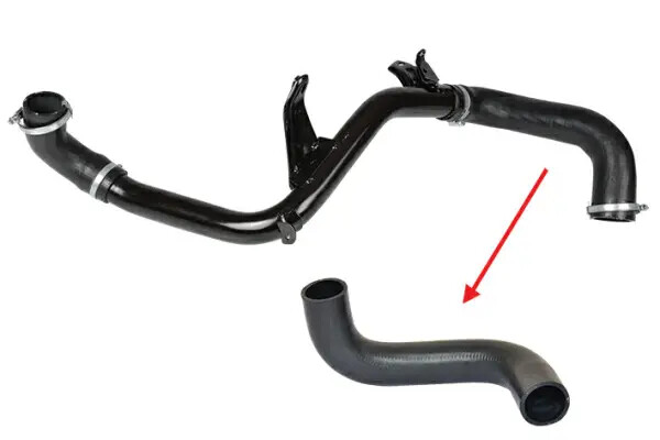 Tubo condotto aria AEM (gomma etilene acrilato) 19948 NIFEA per FORD VOLVO