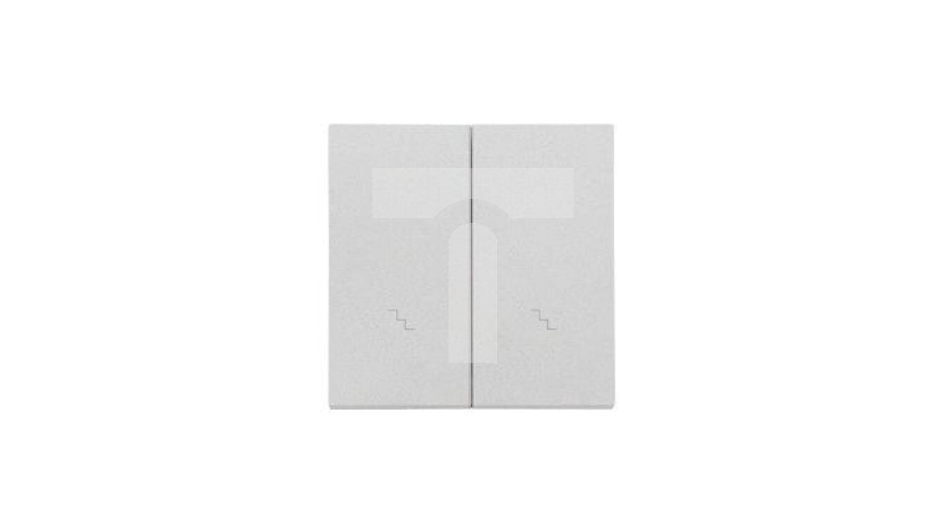 Simon 55 Double key with pictograms for stairs for: SW6/2WM Aluminum matt /T2UK