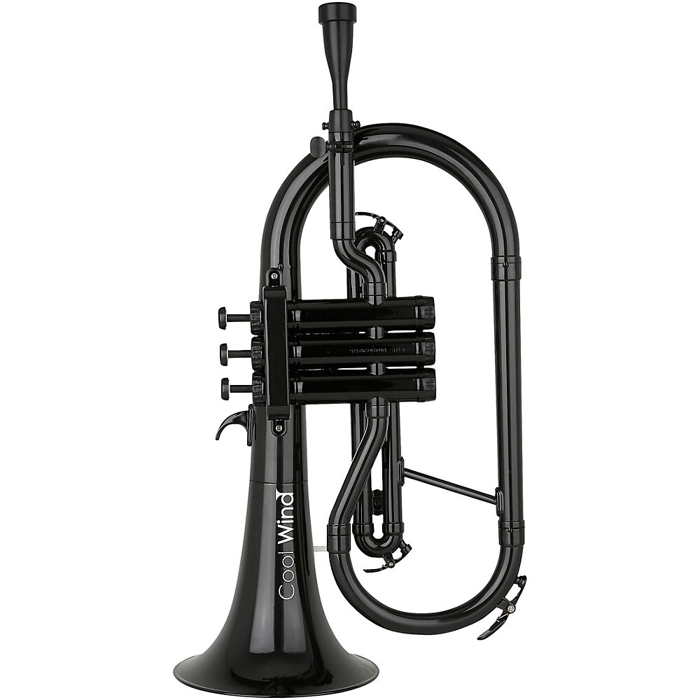COOLWIND Cfg200bk Plastic Flugelhorn BB Black With Soft Bag for sale
