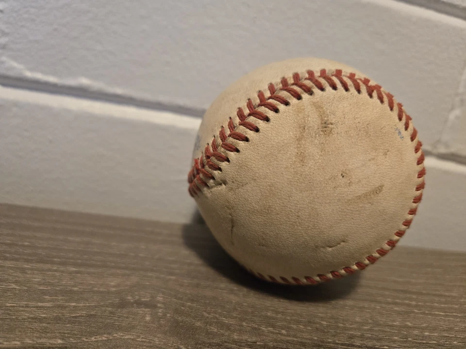 Práctica oficial de bateo de béisbol Rawlings de la Liga Norte Foto 3 de 4