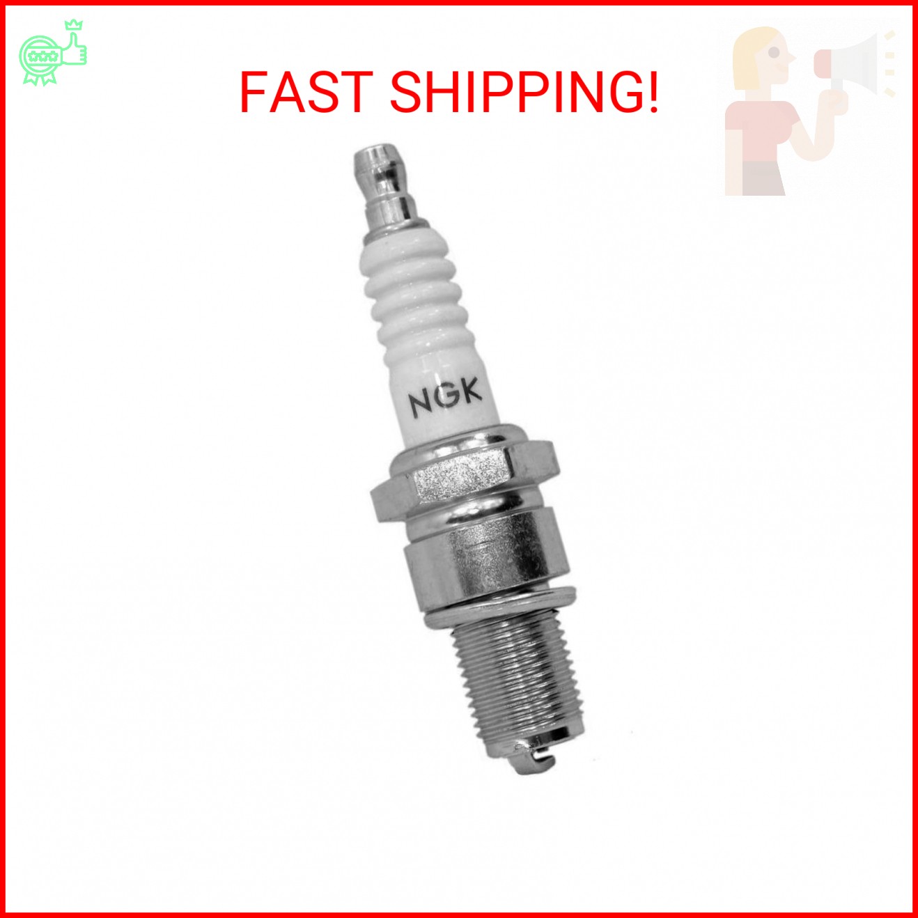 Ngk Spark Plug NGK-CS6