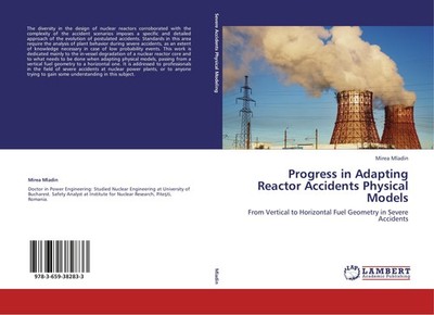 Progress in Adapting Reactor Accidents Physical Models Mirea Mladin
