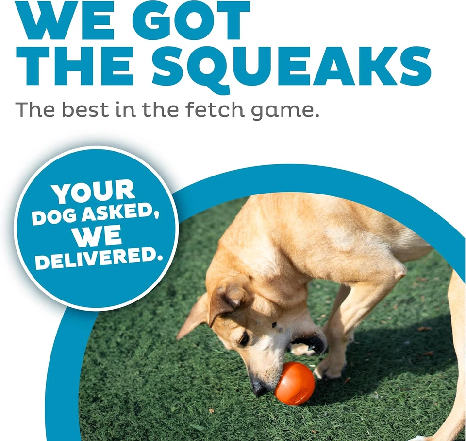 Planet Dog Orbee-Tuff Squeak, Nearly Indestructible Dog Ball Fetch-Chew Toy for - image 3 of 4