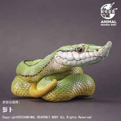 Animal Heavenly Body Baron's Green Racer Snake Statue Philodryas baroni