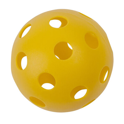 Champion Sports Plastic Soft Ball-Each