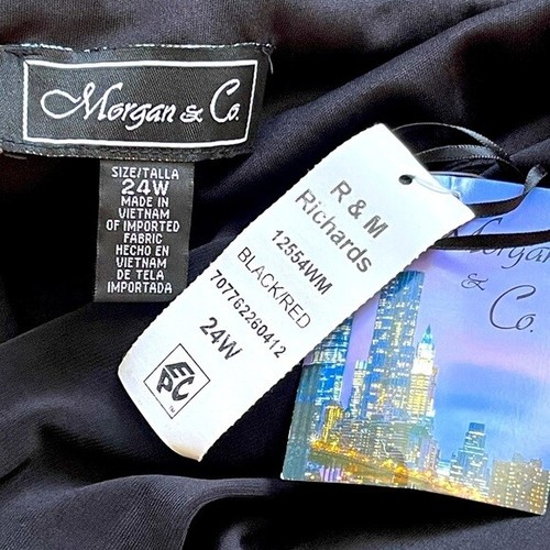 R&M Richards Women Plus Size Formal Evening Dress Holiday Party Prom Dress, 24W - Picture 4 of 9