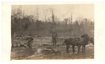 RPPC Logging with Horses Draft Team Sleight Postcard c.1910 Lumber