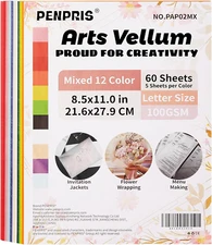 60 Sheets Colorful Vellum Paper Translucent Tracing Paper - 12 Colors 8.5 x 11in