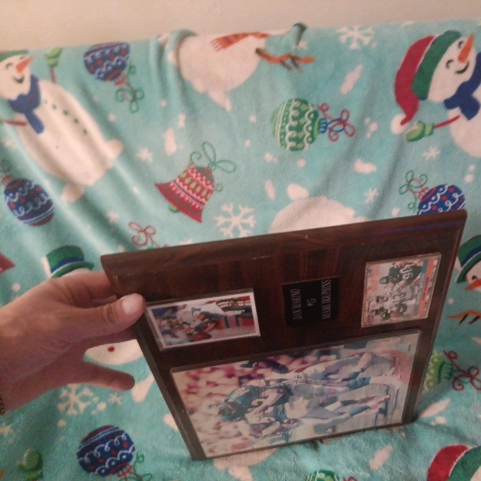 Placa Dan Marino Miami Dolphins 1993-1994 Foto 3 de 4