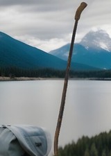 deer Antler walking stick cane wood shaft custom