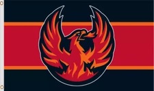 Coachella Valley Firebirds 3x5 Ft Flag Banner AHL Hockey League Gift