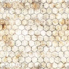 Earthly Delights By Quilting Treasures - Cream Chicken Wire  #31318-E