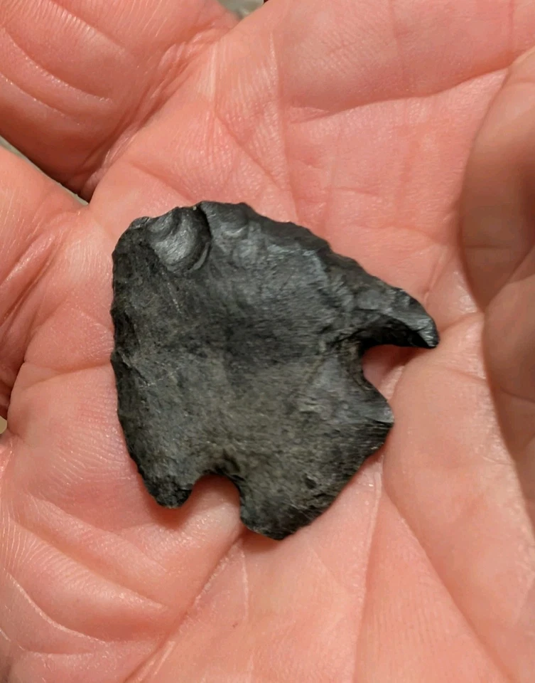 ERB BASAL NOTCH, 1 3/16", PA, SCARCE TYPE, Black Chert, Authentic Arrowhead  - Image 3 of 4