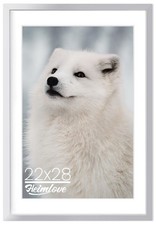 20x30 Silver Poster Frames, Large 22x28 Picture Frames for Wall, Set of 1