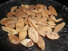 Wholesale Lot Herbal Salam SALAB MISRI Salep Orchid Orchis Mascul  FreeFast Ship