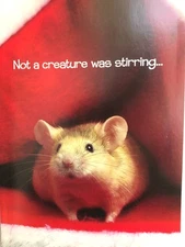 Paper Magic 18 Mouse Themed Not A Creature Was Stirring Holiday Christmas Cards