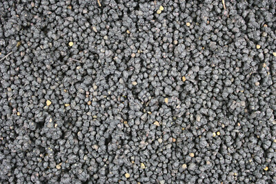 1000Kräuter Holunderbeeren Holunder Beeren Tee getrocknet ganz 100 g