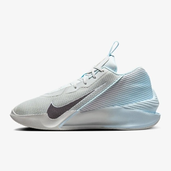Nike G.T. Hustle Jump Academy EP Pure Platinum (HF1804-002) Expeditedship