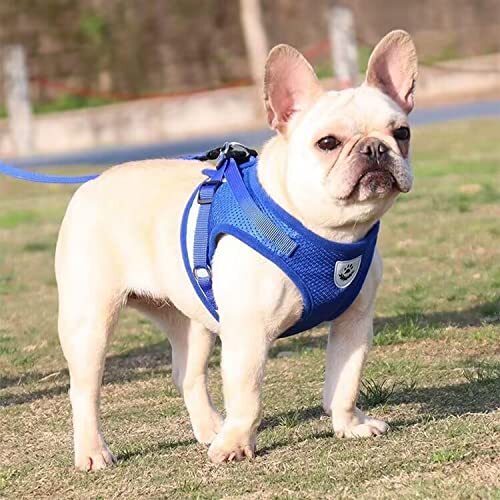 Step in Dog Harness and Leash Set,Reflective Adjustable Soft Mesh Large Blue - Afbeelding 8 van 8