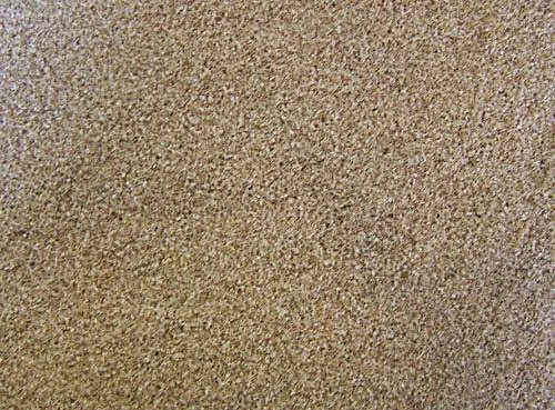 GOLDSPAN Räuchermehl Buche fein 1,00kg Buchenmehl >TOP Qualität