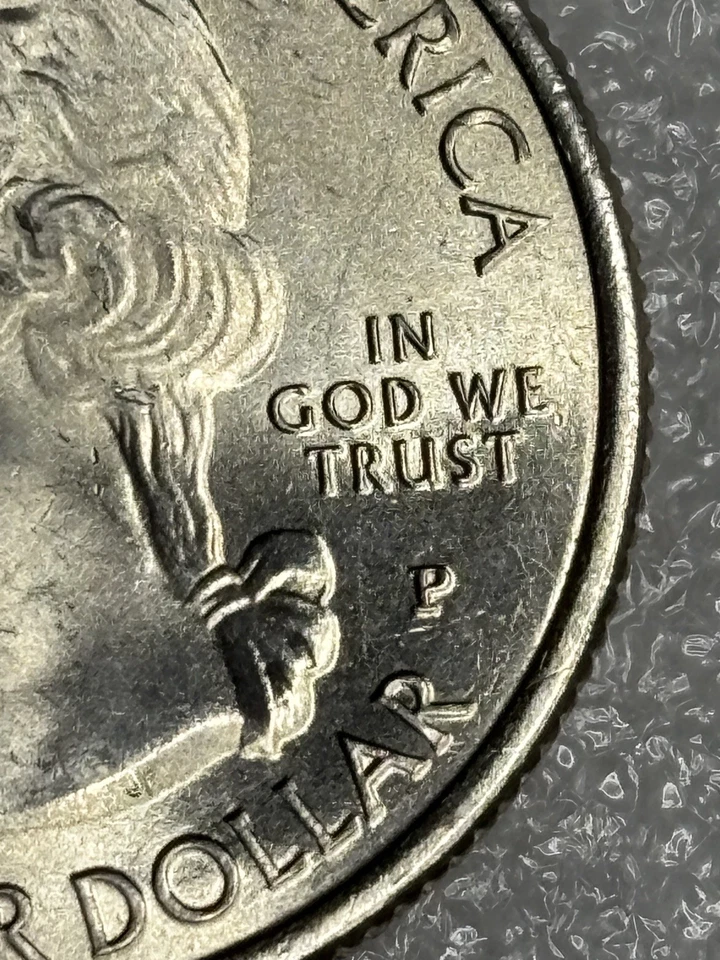 2015 Homestead Error Quarter Die Chips, Die Crack And Die Clash excellent Cond. - Image 4 of 4