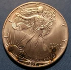 1992 Walking Liberty American Eagle Silver Dollar