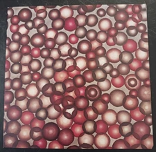 vtg OS art gallery invitation card Ross Bleckner 2001 Mary Boone Flow & Return