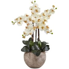 36" Cream Phalaenopsis Orchid Arrangement in Sand Colored Bowl Faux Flowers