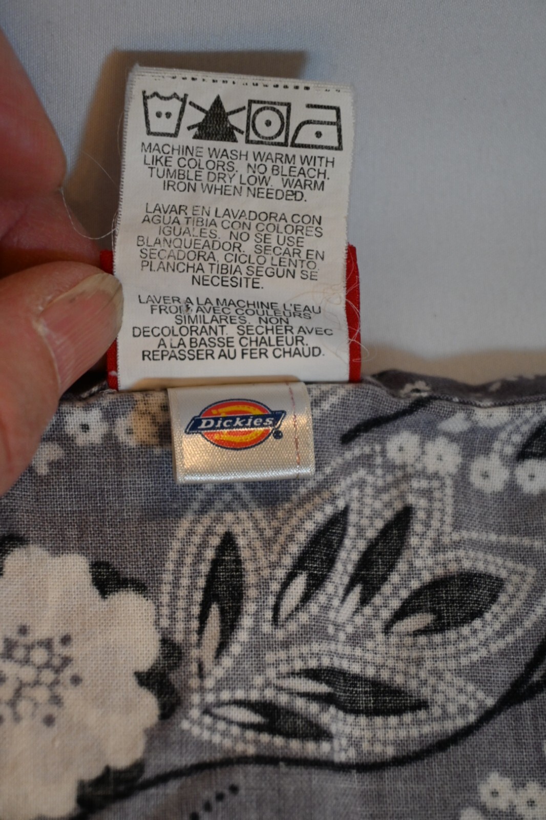 Picture 5 of 6