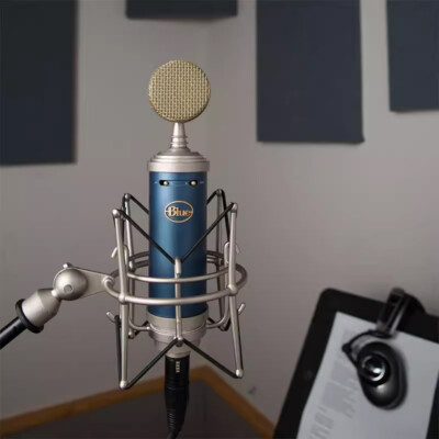 Blue Bluebird SL Studio Condenser Recording Microphone | eBay