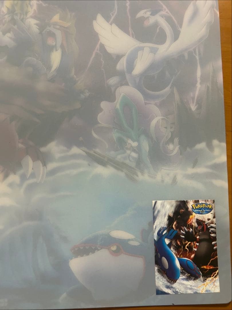 PokePark 2005 Limited Forest Sheet Blue Sheet Pokemon Card