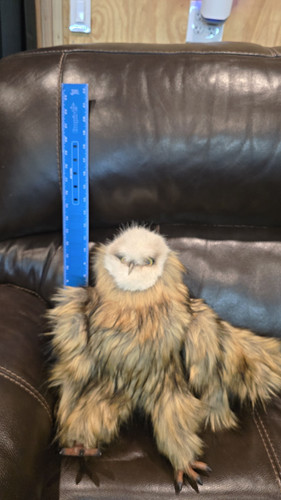 Lenorre Big Fantasy Owl Creature OOAK artist Animal
