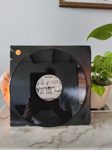 Master of the Universe "All Aboard" Vinyl - Picture 4 of 4