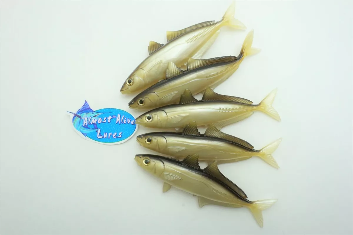 Almost Alive Soft Plastic Cigar Minnow Bait Goggle Eye Lure 6 Eel Color 5  Pk