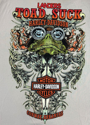 Harley-Davidson Landers Toad Suck Women's Short Sleeve Gray T-shirt Size L 2016