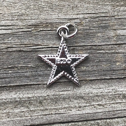 Vintage Beta Sigma Phi Sorority Silver Tone Metal Star Torches Charm Tiny G6 - Picture 10 of 12