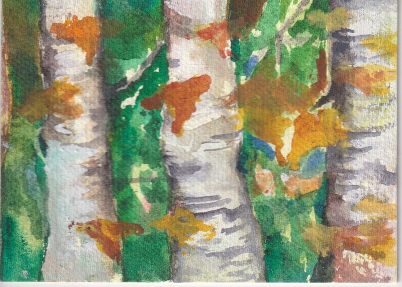 Original ACEO Watercolor Painting, Aspen Trees By Sharon Foster FREE SHIPPING
