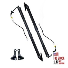Electric Liftgate Struts Compatible with 2015-2017 Lexus NX200t NX300h, Power