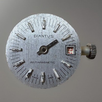 DIANTUS Swiss Antimagnetic Watch Movement Dial Date Vintage  