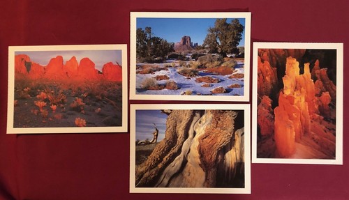 DESERT SOUTHWEST Glossy Unused Postcards Post Cards Lot - 39 qty 20 designs - Picture 6 of 6