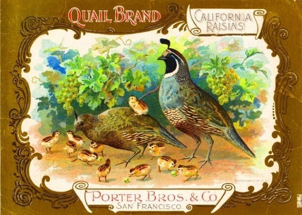 san francisco quail raisin grape wine fruit crate label art print