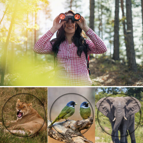 60x60 10000M Waterproof High Definition BAK4 Binoculars Telescope Hunting Travel - Picture 11 of 21