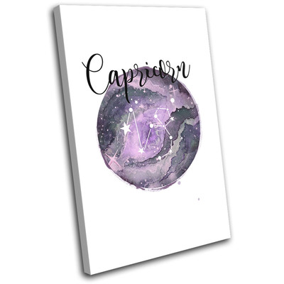 Constellation Capricorn Zodiac Starsign SINGLE Leinwand Wand Kunst Bild drucken
