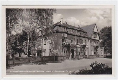 39024684 - Sommerfrische Grund bei Mohorn. Hotel und Gasthaus Zu den Linden.
