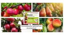 Premium Fruit Tree Fertilizer - Boost Growth, Nourish All Varieties
