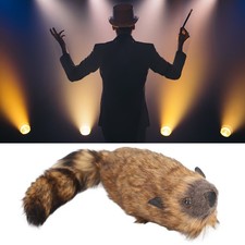 Tricks Spring Raccoon Toy High Simulation Soft Plush Stage Performance Animal