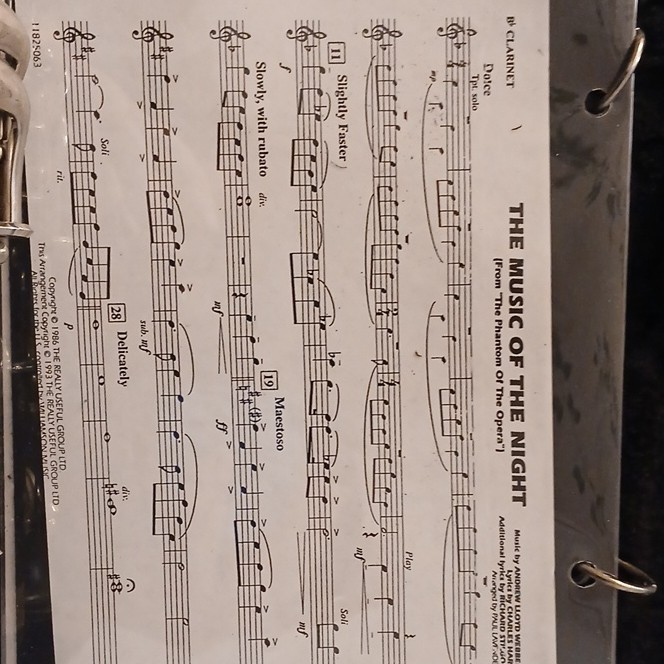 Yamaha Bb Clarinet Black w/ accessories 